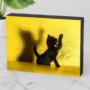 Cutest Baby Animals Black Cat Playing Wooden Box Sign