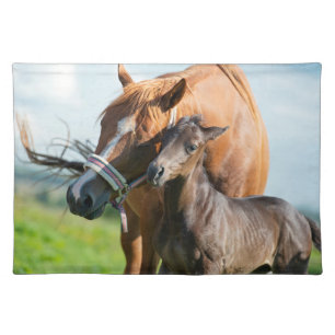 Cutest Baby Animals   Black Foal with Mom Cloth Placemat
