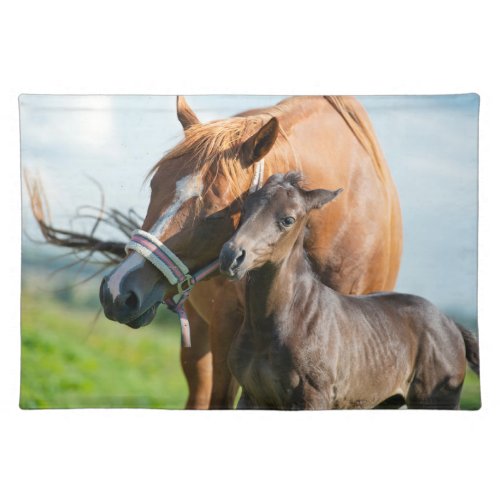 Cutest Baby Animals  Black Foal with Mom Cloth Placemat