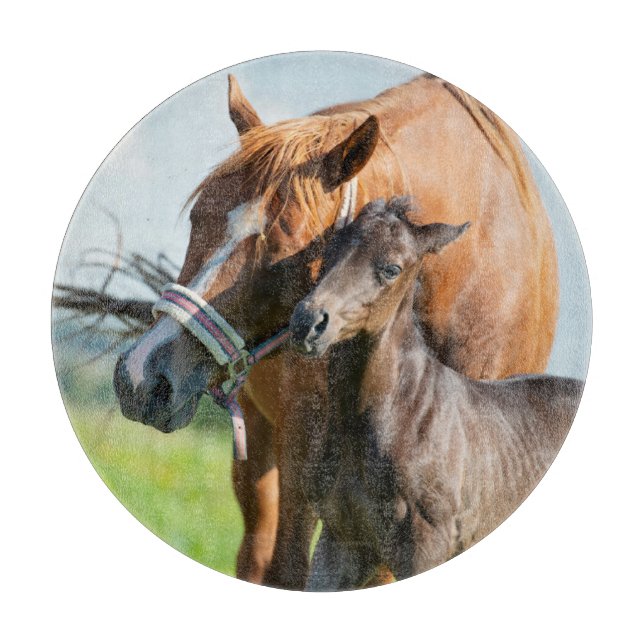 Cutest Baby Animals | Black Foal with Mom Cutting Board (Front)