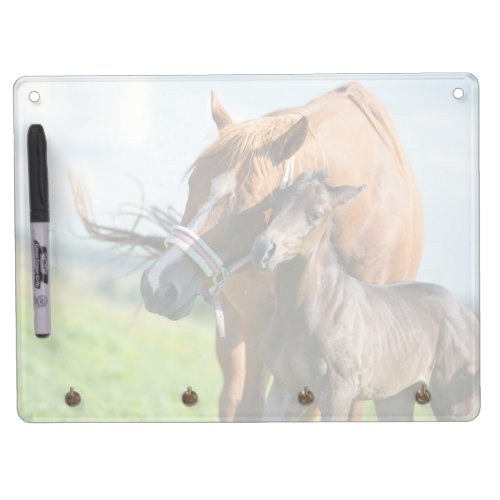 Cutest Baby Animals  Black Foal with Mom Dry Erase Board With Keychain Holder