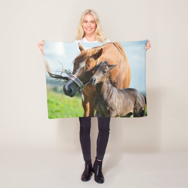 Cutest Baby Animals | Black Foal with Mom Fleece Blanket (In Situ)