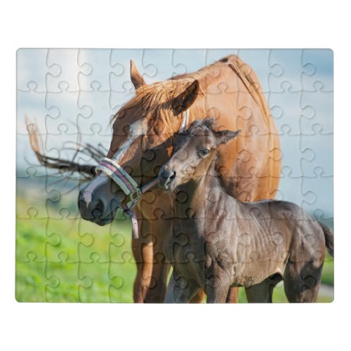 Cutest Baby Animals  Black Foal with Mom Jigsaw Puzzle