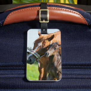 Cutest Baby Animals   Black Foal with Mom Luggage Tag