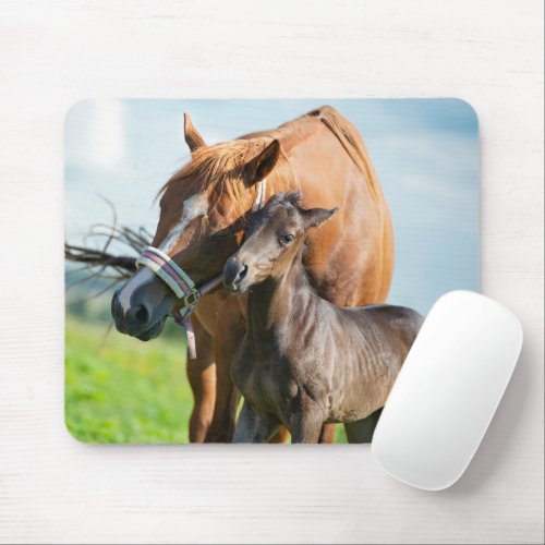 Cutest Baby Animals  Black Foal with Mom Mouse Pad