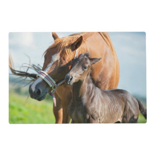 Cutest Baby Animals   Black Foal with Mom Placemat