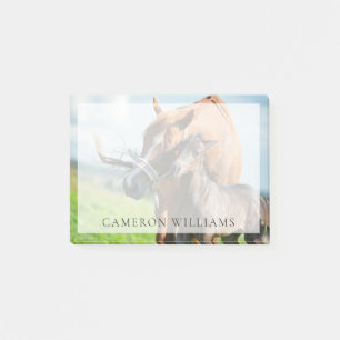 Cutest Baby Animals Black Foal with Mom Post-it Notes