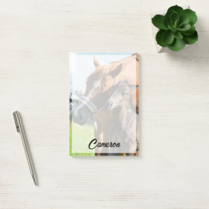 Cutest Baby Animals Black Foal with Mom Post-it Notes