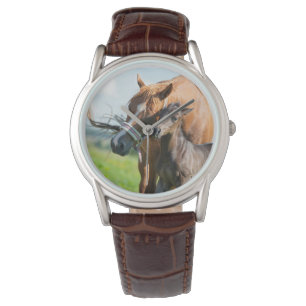 Cutest Baby Animals Black Foal with Mom Watch