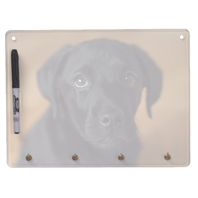 Cutest Baby Animals | Black Labrador Puppy Dry Erase Board With Keychain Holder (Front)