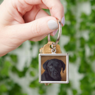 Cutest Baby Animals   Black Labrador Puppy Keychain