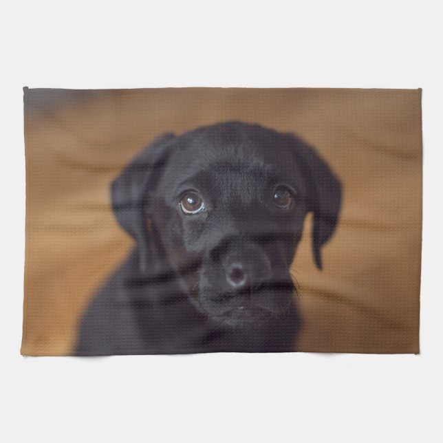 Cutest Baby Animals | Black Labrador Puppy Kitchen Towel (Horizontal)