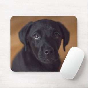Cutest Baby Animals Black Labrador Puppy Mouse Pad