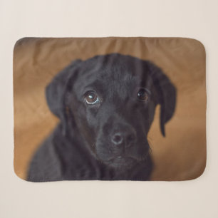 Cutest Baby Animals Black Labrador Puppy Sherpa Blanket