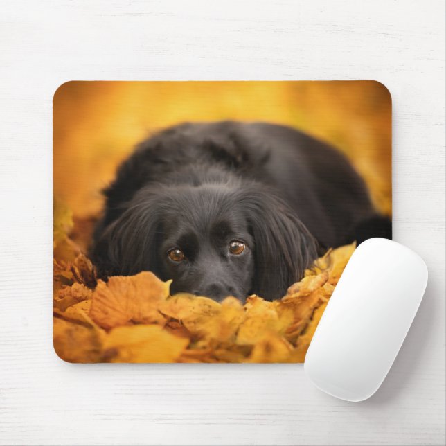 Cutest Baby Animals | Black Spaniel Puppy Mouse Pad (With Mouse)