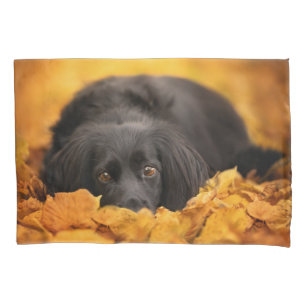 Cutest Baby Animals Black Spaniel Puppy Pillow Case