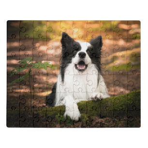 Cutest Baby Animals   Black & White Border Collie Jigsaw Puzzle