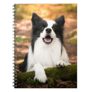 Cutest Baby Animals Black & White Border Collie Notebook