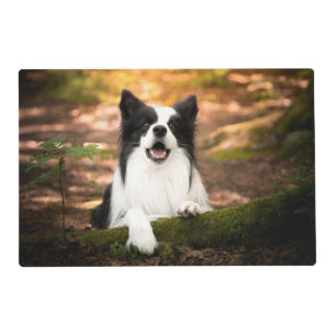 Cutest Baby Animals Black & White Border Collie Placemat