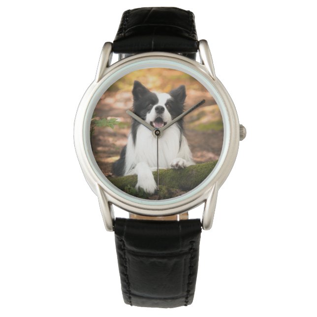 Cutest Baby Animals | Black & White Border Collie Watch (Front)