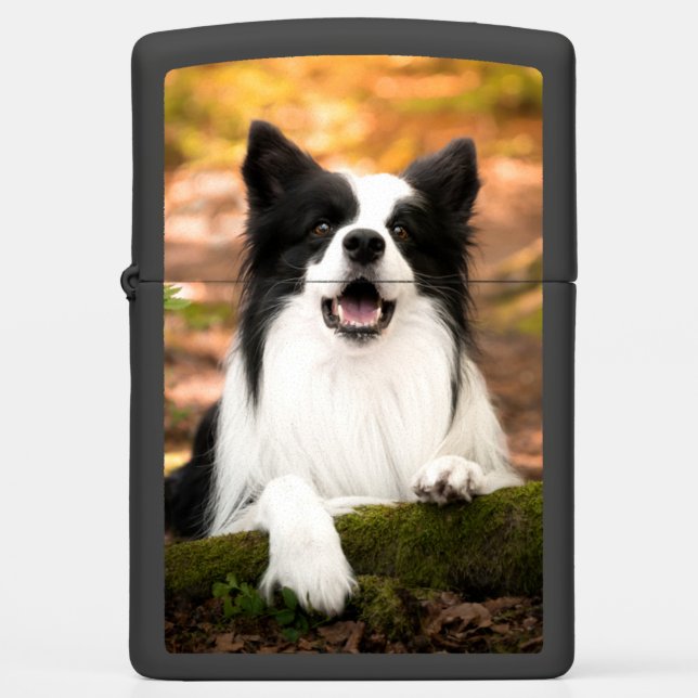 Cutest Baby Animals | Black & White Border Collie Zippo Lighter (Front)