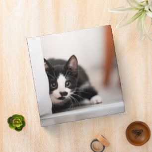 Cutest Baby Animals Black & White Kitten 3 Ring Binder