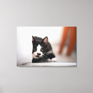 Cutest Baby Animals Black & White Kitten Canvas Print