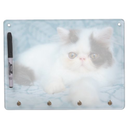 Cutest Baby Animals  Black  White Kitten Dry Erase Board With Keychain Holder