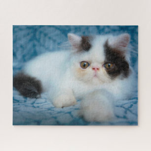 Cutest Baby Animals Black & White Kitten Jigsaw Puzzle