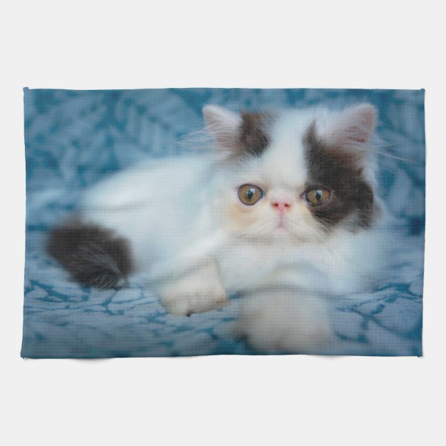 Cutest Baby Animals | Black & White Kitten Kitchen Towel (Horizontal)