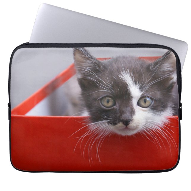 Cutest Baby Animals | Black & White Kitten Laptop Sleeve (Front)