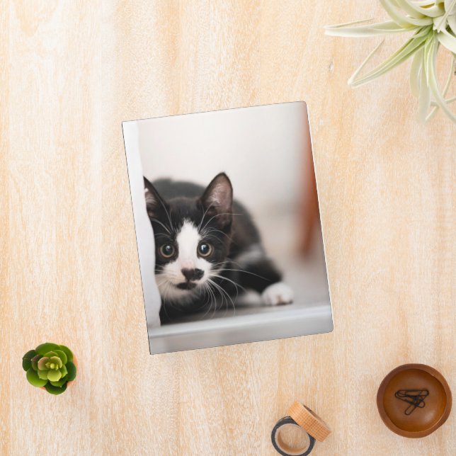 Cutest Baby Animals | Black & White Kitten Mini Binder (InSitu)