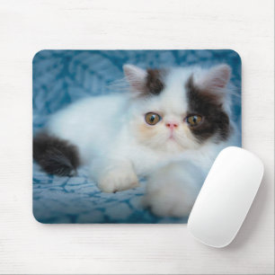 Cutest Baby Animals Black & White Kitten Mouse Pad