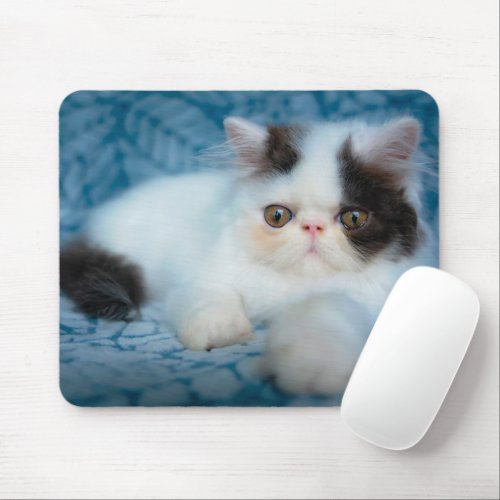 Cutest Baby Animals  Black  White Kitten Mouse Pad