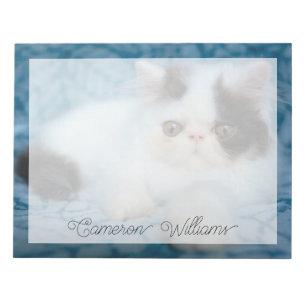 Cutest Baby Animals   Black & White Kitten Notepad