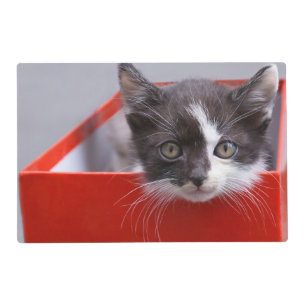Cutest Baby Animals   Black & White Kitten Placemat
