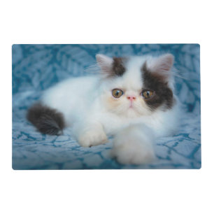 Cutest Baby Animals   Black & White Kitten Placemat