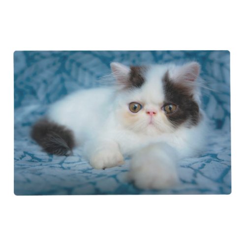 Cutest Baby Animals  Black  White Kitten Placemat