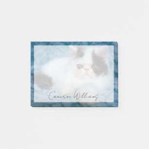 Cutest Baby Animals Black & White Kitten Post-it Notes