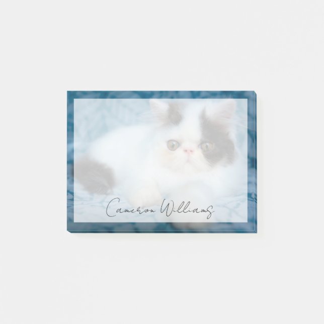 Cutest Baby Animals | Black & White Kitten Post-it Notes (Front)