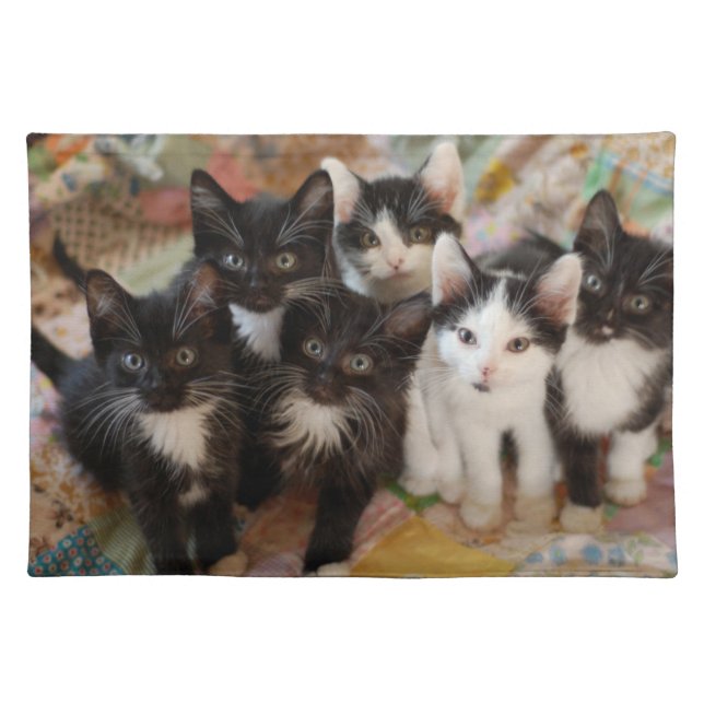 Cutest Baby Animals | Black & White Kittens Cloth Placemat (Front)