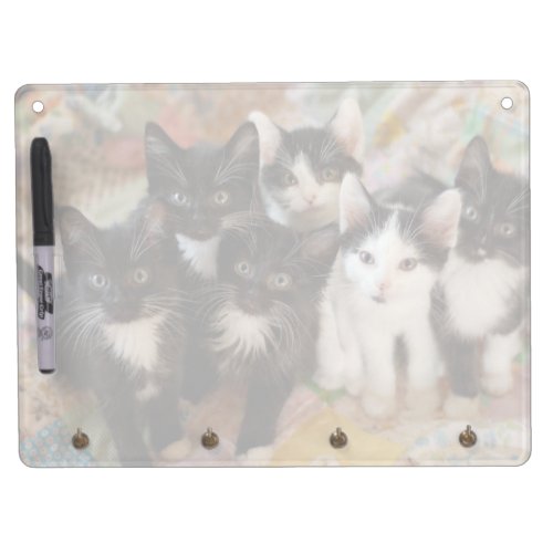 Cutest Baby Animals  Black  White Kittens Dry Erase Board With Keychain Holder