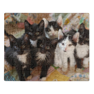 Cutest Baby Animals Black & White Kittens Jigsaw Puzzle