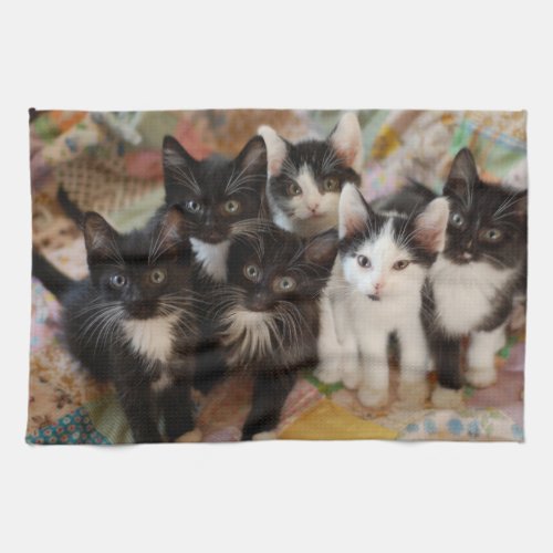Cutest Baby Animals  Black  White Kittens Kitchen Towel