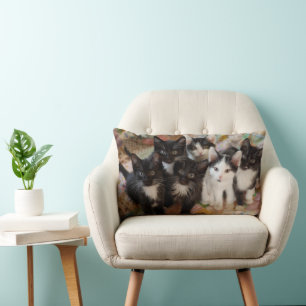 Cutest Baby Animals Black & White Kittens Lumbar Pillow