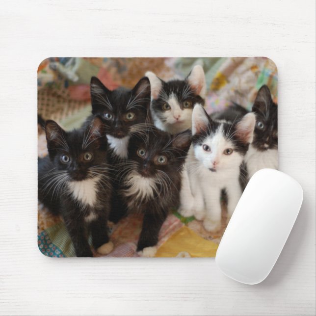 Cutest Baby Animals | Black & White Kittens Mouse Pad (With Mouse)