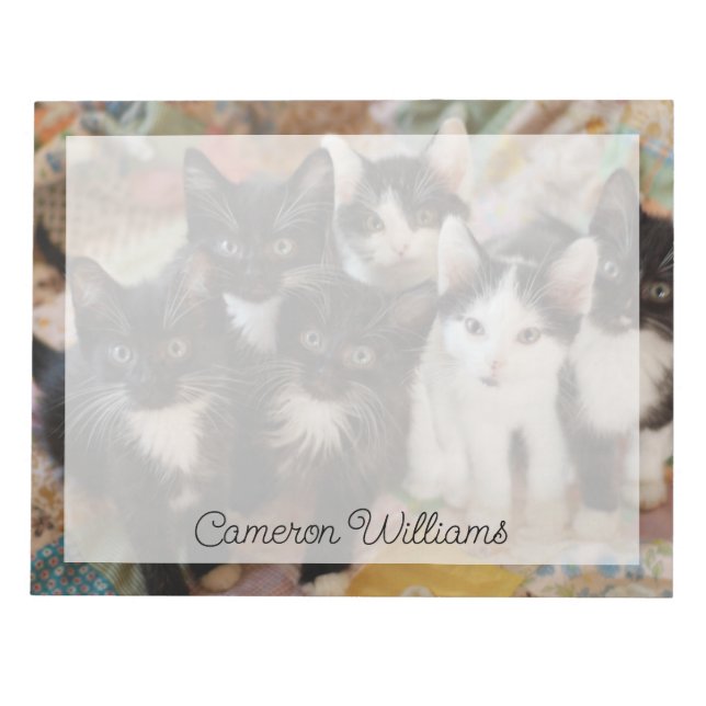 Cutest Baby Animals | Black & White Kittens Notepad (Front)