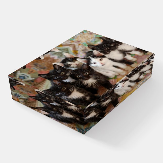Cutest Baby Animals | Black & White Kittens Paperweight (Angled)