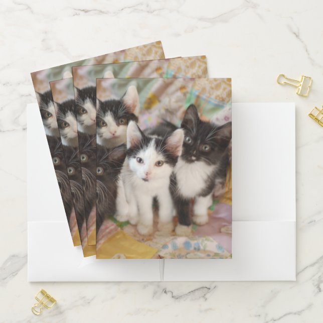 Cutest Baby Animals | Black & White Kittens Pocket Folder (In Situ)