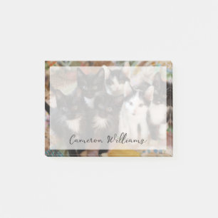 Cutest Baby Animals Black & White Kittens Post-it Notes